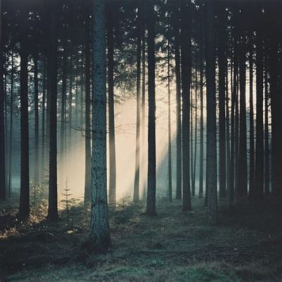 Whisperings of Dawn - A Serene Soundscape that Transports Listeners through Ethereal Melodies and Haunting Vocal Harmonies